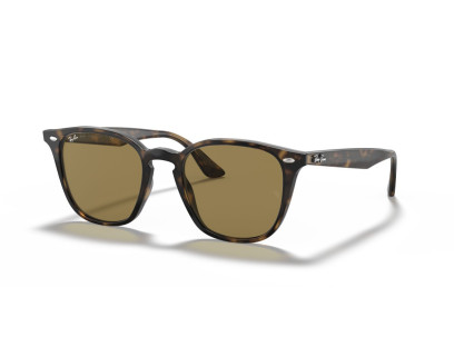 RAY BAN (4258F)