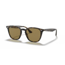 RAY BAN (4258F)