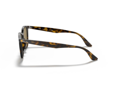 RAY BAN (4258F)