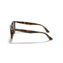 RAY BAN (4258F)
