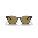 RAY BAN (4258F)