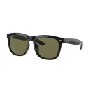 RAY BAN (4260D)
