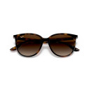 RAY BAN (4378)