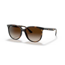 RAY BAN (4378)