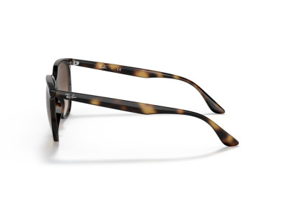 RAY BAN (4378)