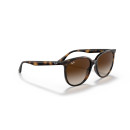 RAY BAN (4378)