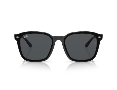 RAY BAN (4392D)