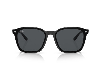RAY BAN (4392D)