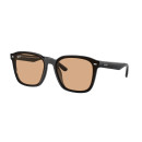 RAY BAN (4392D)
