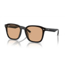 RAY BAN (4392D)