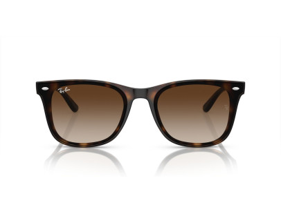 RAY BAN (4420)