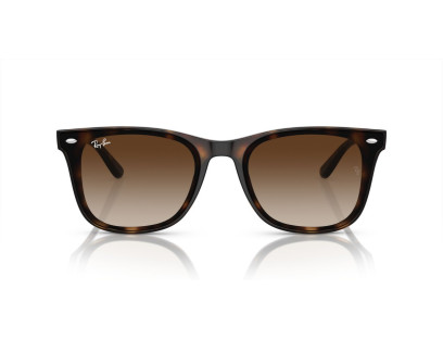RAY BAN (4420)