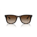 RAY BAN (4420)