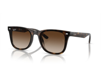 RAY BAN (4420)