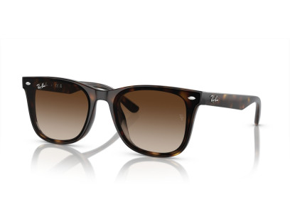 RAY BAN (4420)