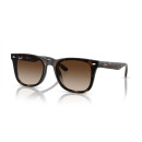 RAY BAN (4420)