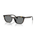RAY BAN (4474D)