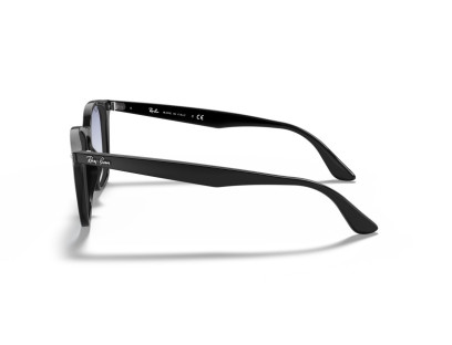 RAY BAN (4258F)