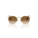 RAY BAN (3447)