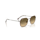 RAY BAN (3694)