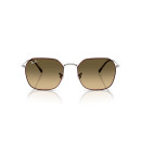 RAY BAN (3694)