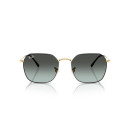 RAY BAN (3694)