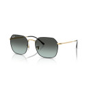RAY BAN (3694)