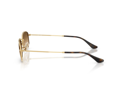 RAY BAN (3832)