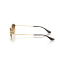 RAY BAN (3832)