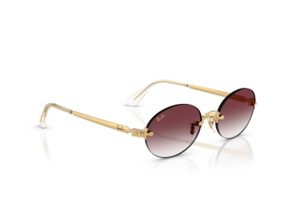 RAY BAN (3929)