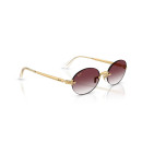 RAY BAN (3929)