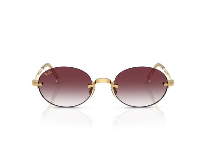 RAY BAN (3929)