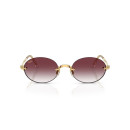 RAY BAN (3929)