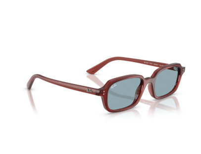 RAY BAN (4455)