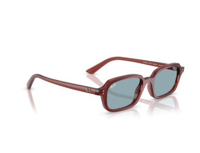 RAY BAN (4455)