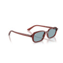 RAY BAN (4455)