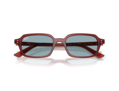 RAY BAN (4455)