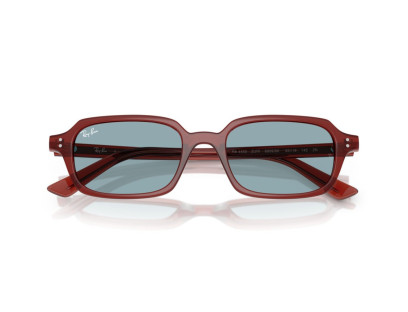 RAY BAN (4455)