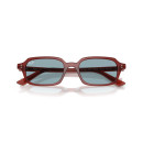 RAY BAN (4455)