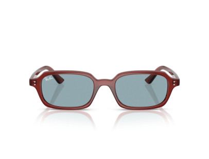 RAY BAN (4455)
