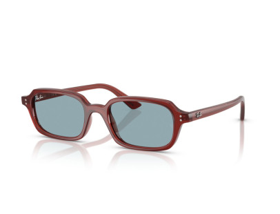 RAY BAN (4455)