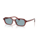 RAY BAN (4455)