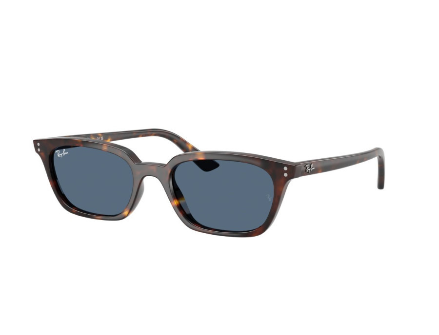 RAY BAN (4456)