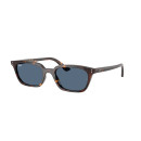 RAY BAN (4456)