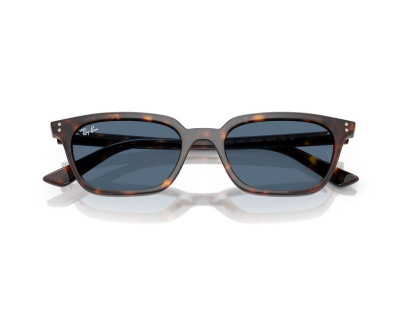 RAY BAN (4456)