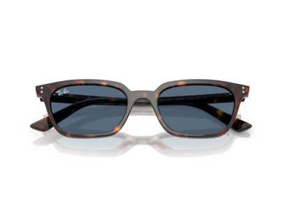 RAY BAN (4456)