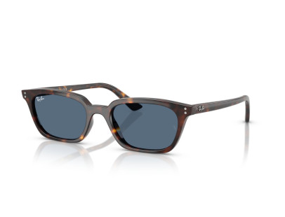 RAY BAN (4456)