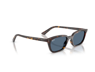 RAY BAN (4456)
