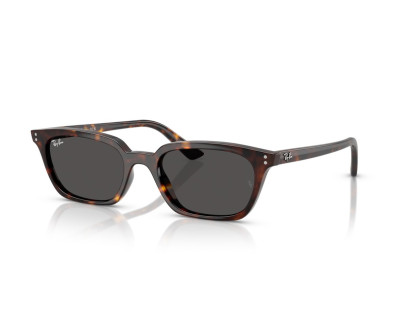 RAY BAN (4456)