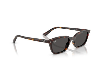 RAY BAN (4456)